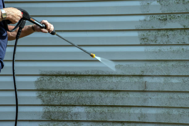 Best Pressure Washing Driveway  in University Center, VA