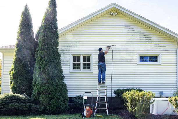 Best Roof Pressure Washing  in University Center, VA